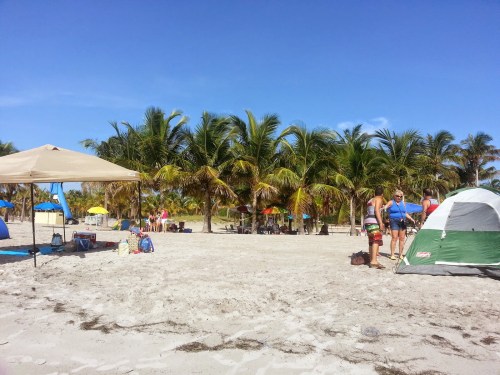 8eb55-2014-07-0409-51-21