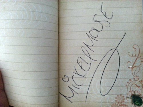 Mickey Mouse Autograph Disneyworld.jpg