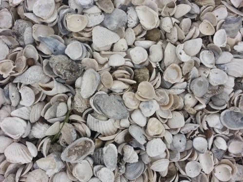 c50bd-2014-09-202b12-49-47