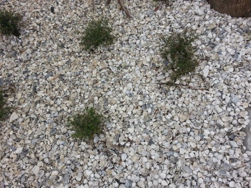 cdd1f-2014-09-202b12-49-43