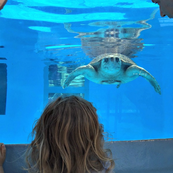 posti da visitare vicino Miami