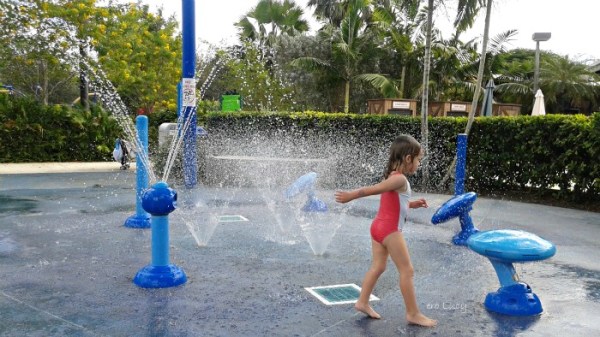 zoo Miami water fountains