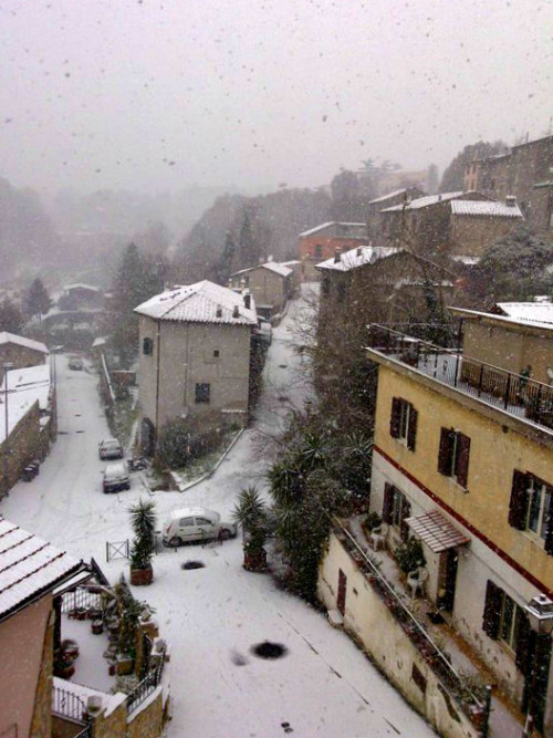 Neve a Cesano