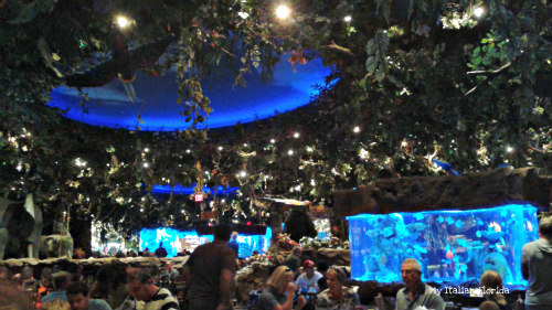 Rainforest Cafe Orlando (2)