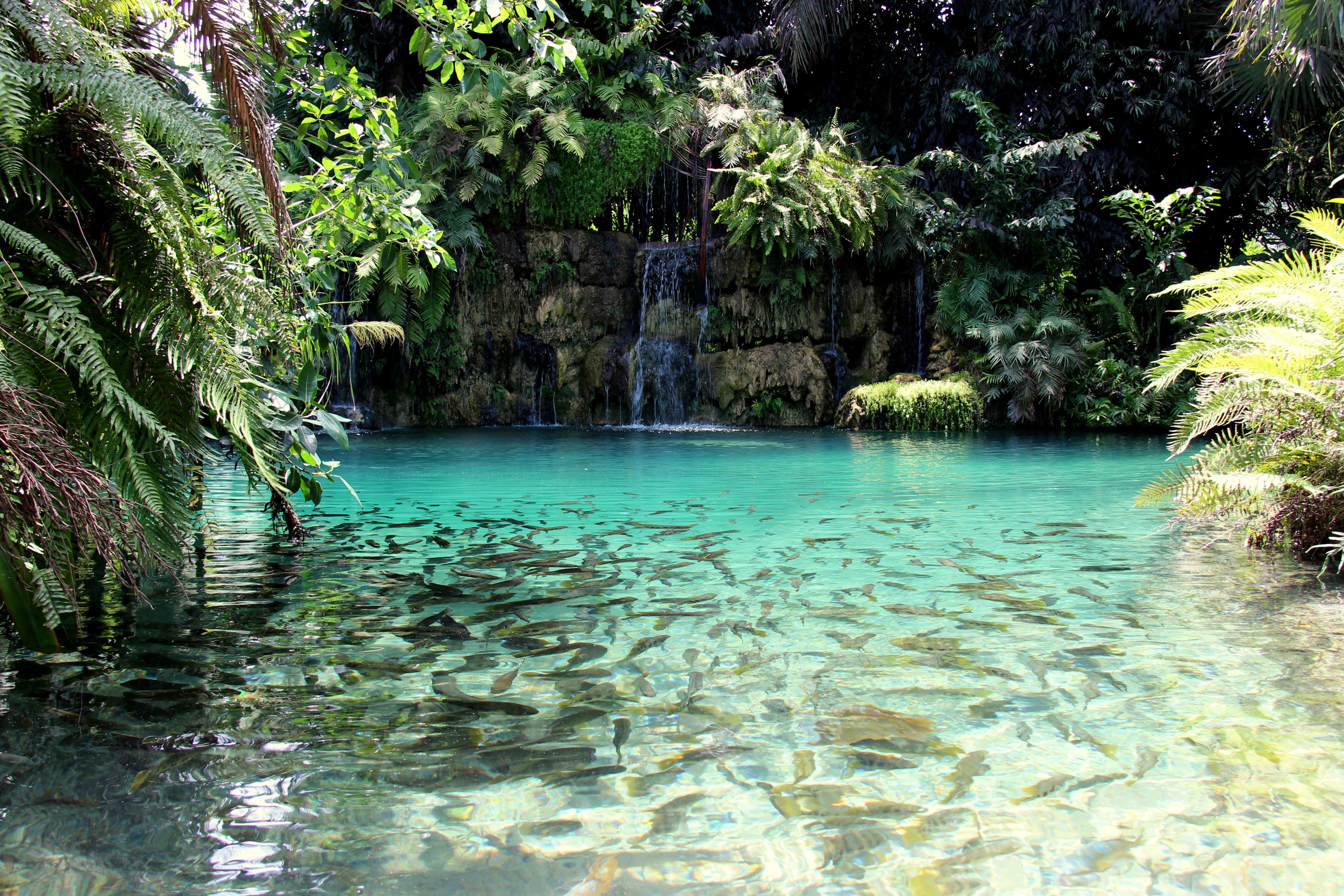 79e1da_616f6160878148be8d9038df203ec888