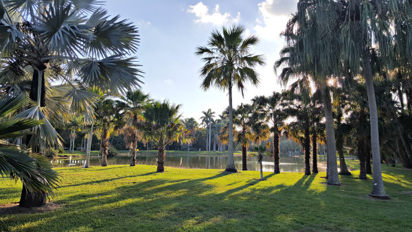 coral-gables-chocolate-festival-fairchild-gardens