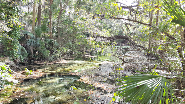 dunnellon-fl-rainbow-springs-state-park