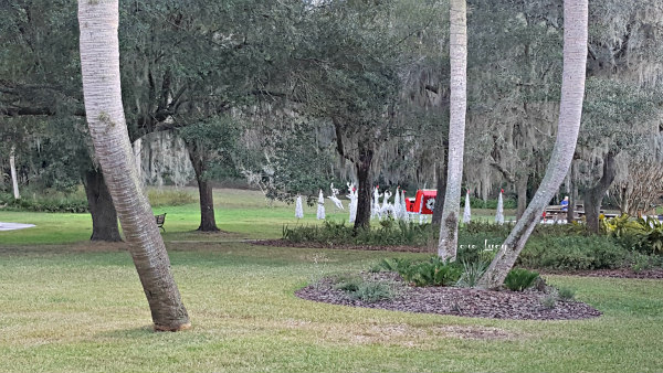 santas-sleigh-silver-springs-state-park