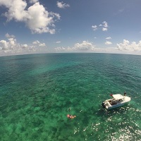 cosa fare a Islamorada