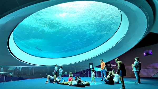 Frost Museum of science aquarium