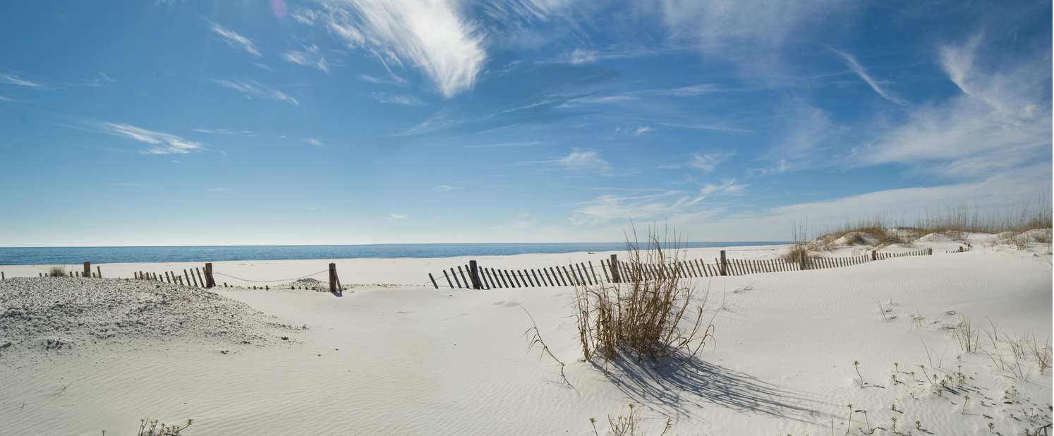 perdido-key-state-park-dune-fence_01a