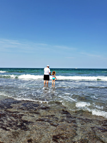 Coral Cove Preserve FL