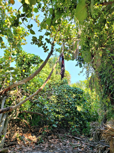 Pirates den coral cove tequesta FL