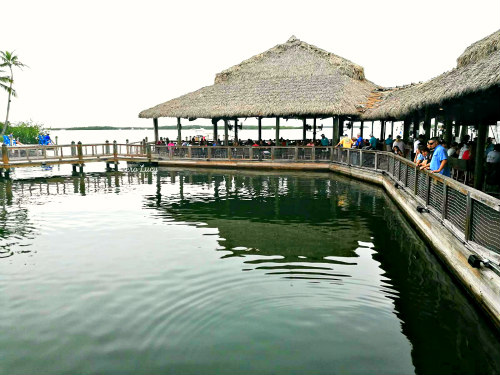 cosa fare a Islamorada