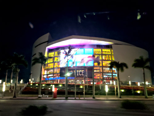 Florida in inverno: the Heat season