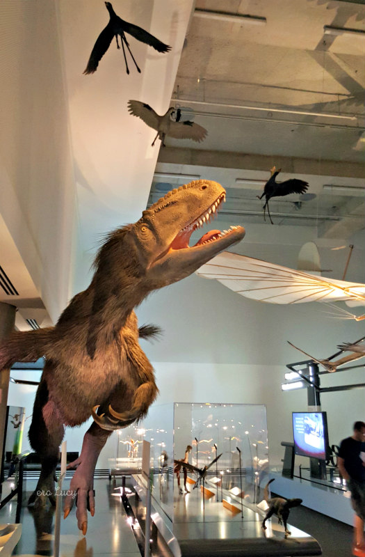 Musei per bambini a Miami Frost Museum