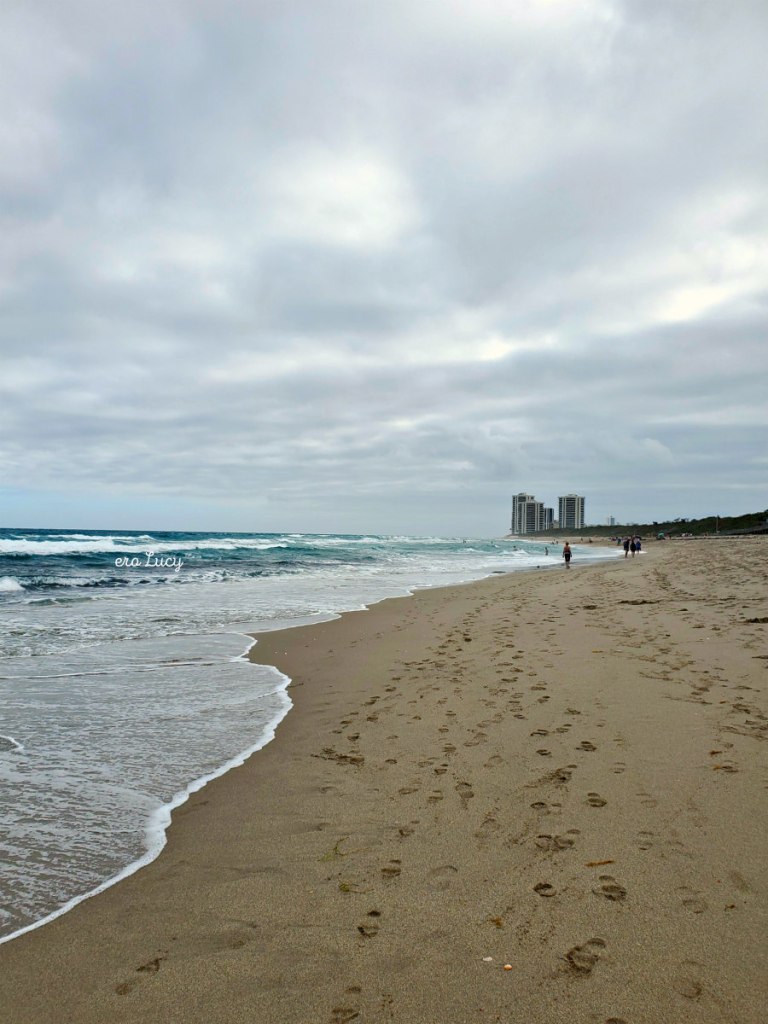 John D. MacArthur Beach State Park