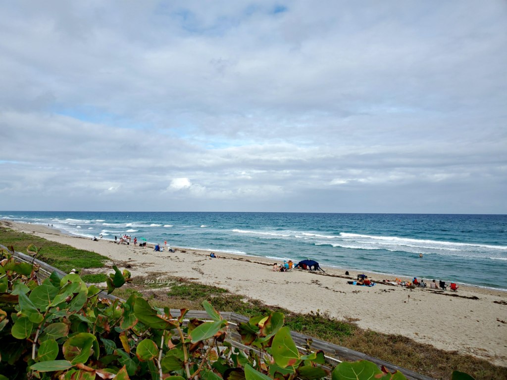 West Palm Beach John D. MacArthur Beach State Park