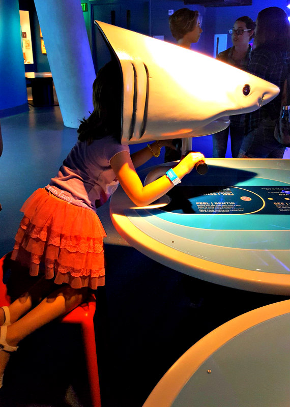 Musei per bambini a Miami Frost Museum