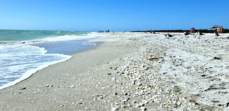 weekend a Naples e Sanibel