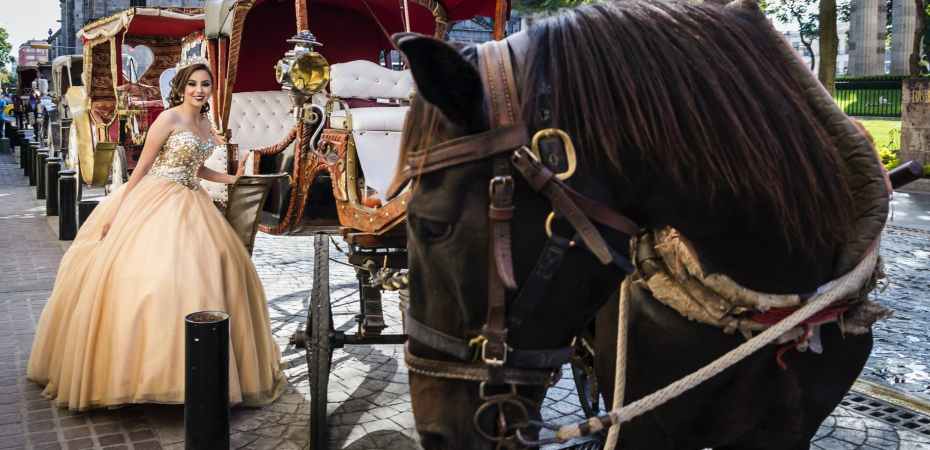people riding on black horse