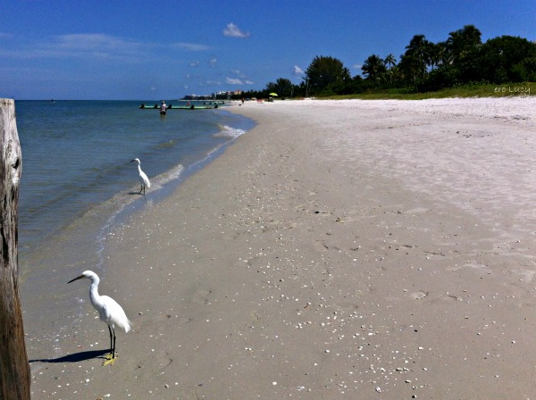 spiaggia della 5th Ave a Naples
