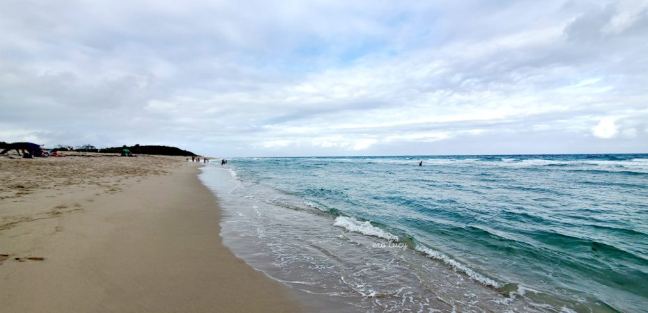 West Palm Beach John D. MacArthur Beach State Park