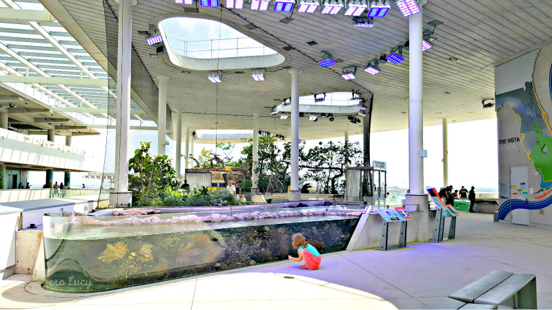 Musei per bambini a Miami Frost Museum