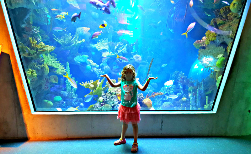 Musei per bambini a Miami Frost Museum