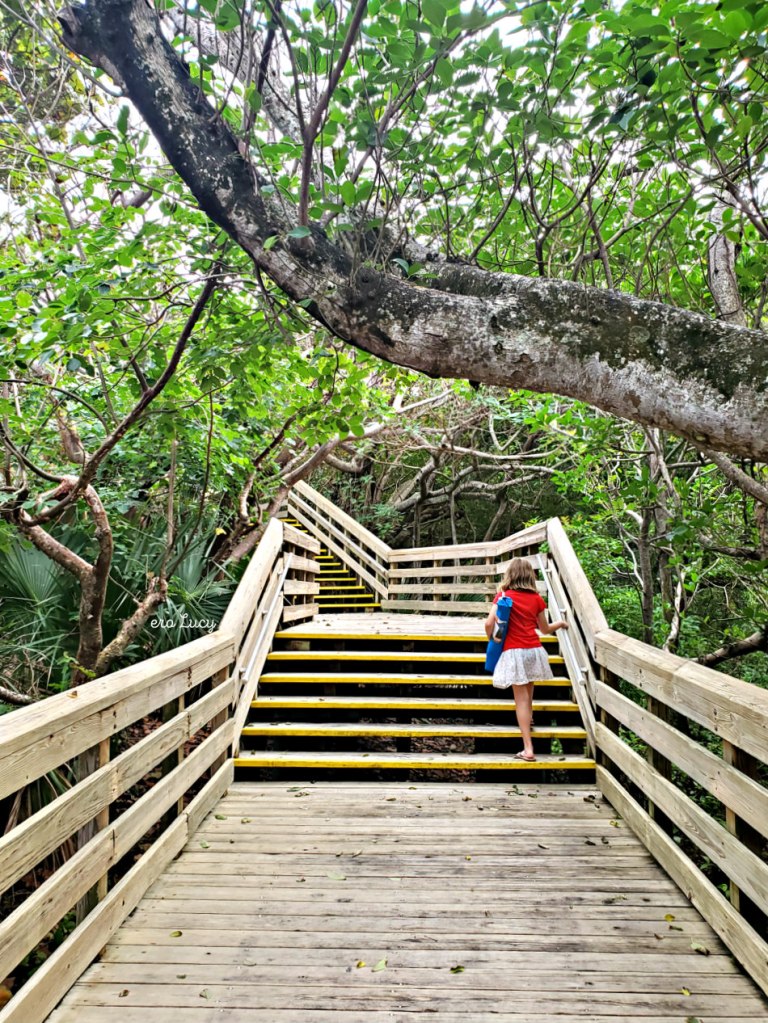John D. MacArthur Beach State Park