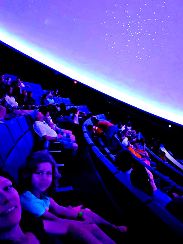 Musei per bambini a Miami Frost Museum